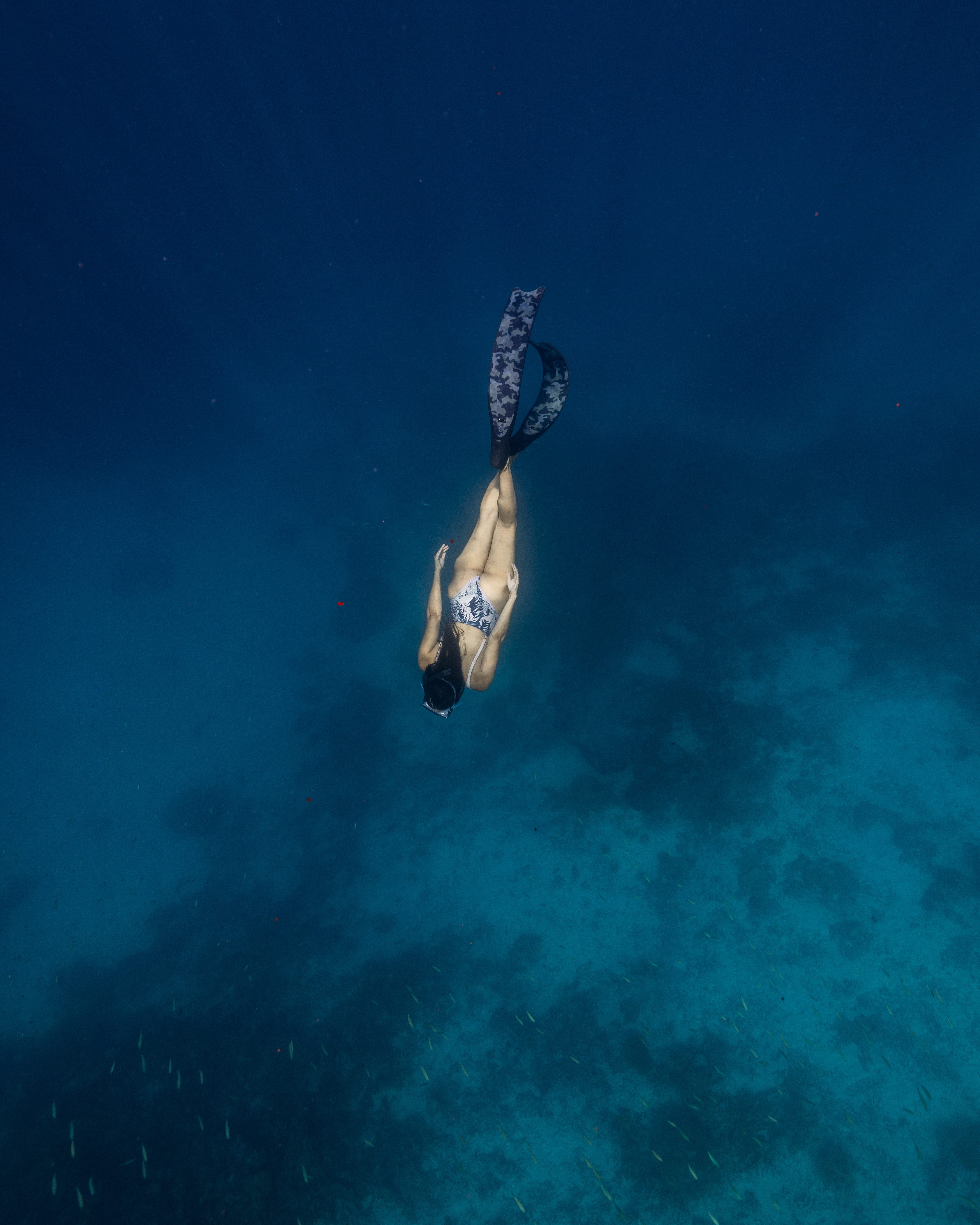 Snorkeling Expedition